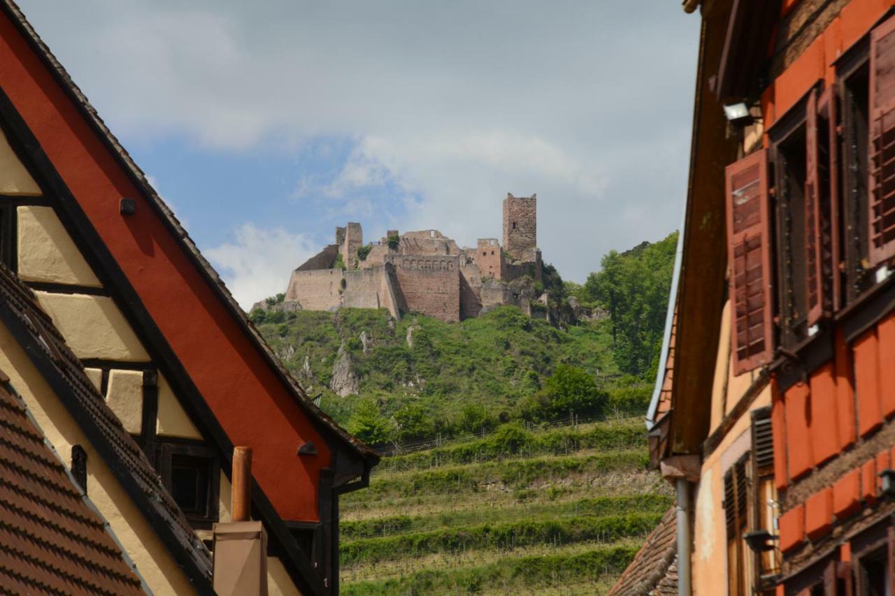Ribeauville City Center - Gite Des Menetriers, Le Tokay - 외부 사진
